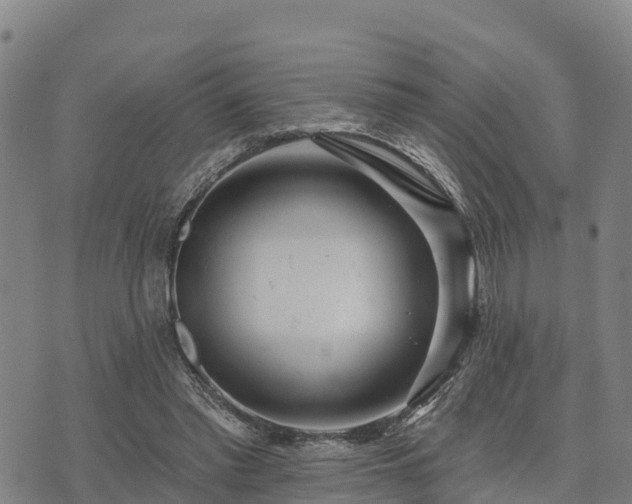 X0000074340397200609011633