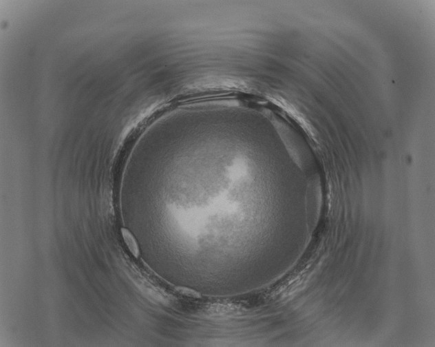 X0000074340399200609011633