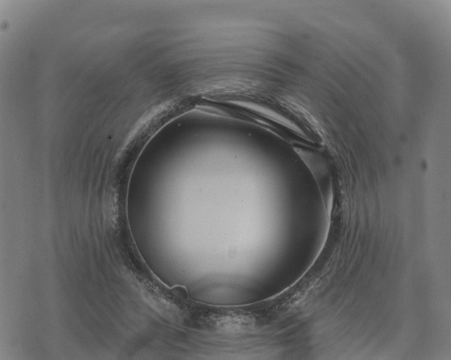 X0000074340400200609011633