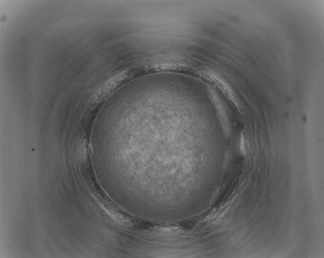 X0000074340401200609011633