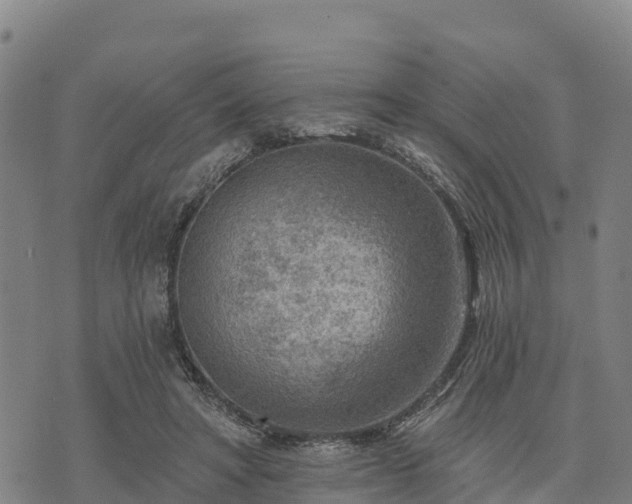 X0000074340402200609011633