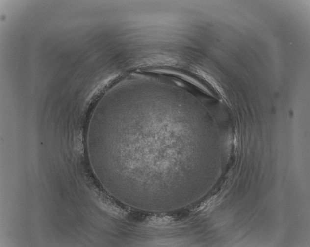 X0000074340403200609011633