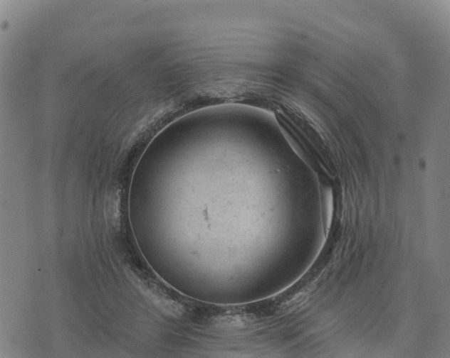 X0000074340404200609011633