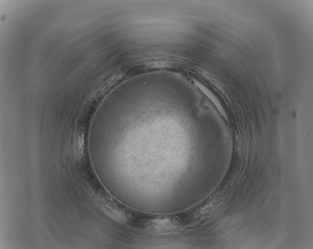 X0000074340406200609011633