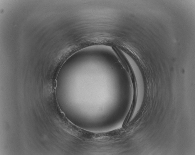 X0000074340407200609011633