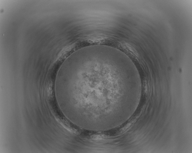 X0000074340408200609011633