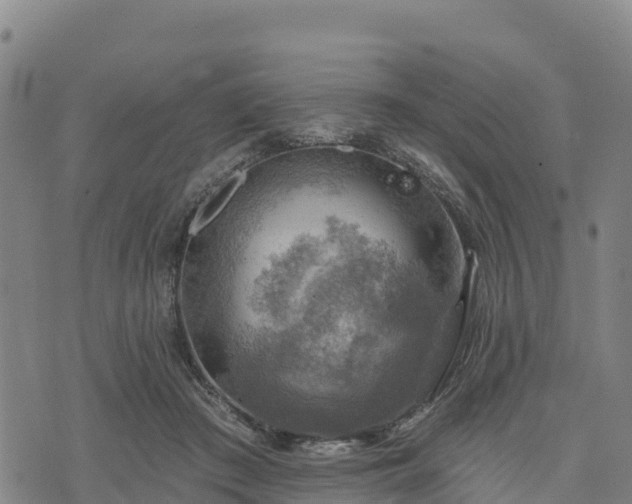 X0000074340409200609011633