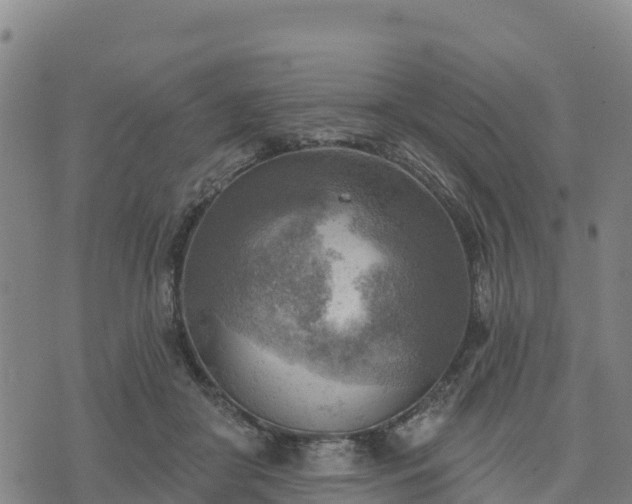 X0000074340410200609011633