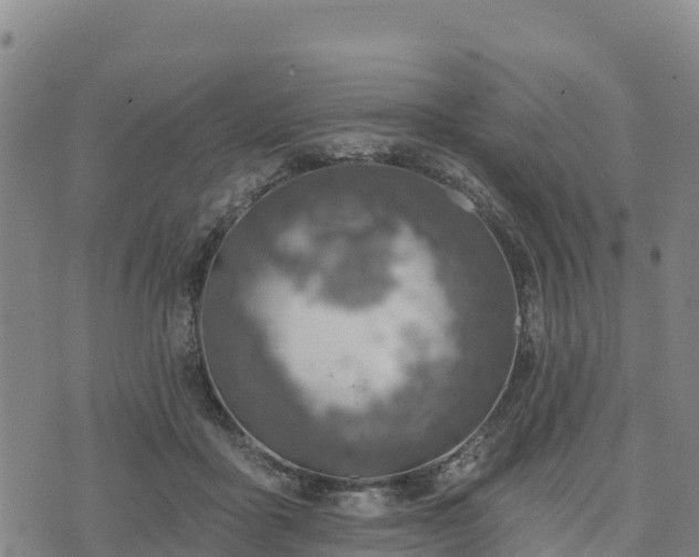 X0000074340411200609011633