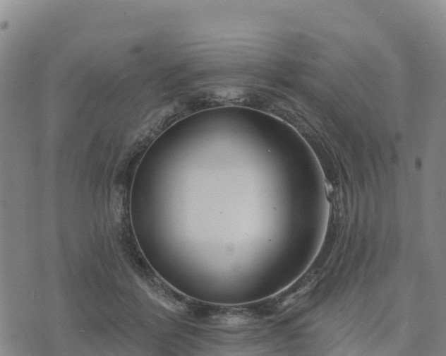 X0000074340412200609011633