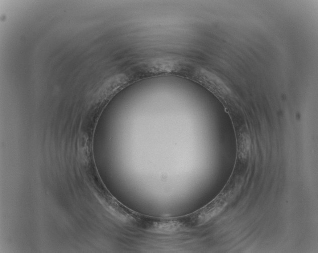 X0000074340414200609011633