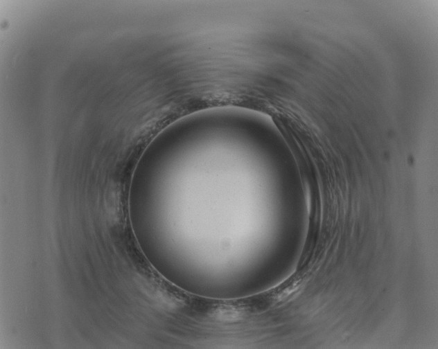 X0000074340416200609011633