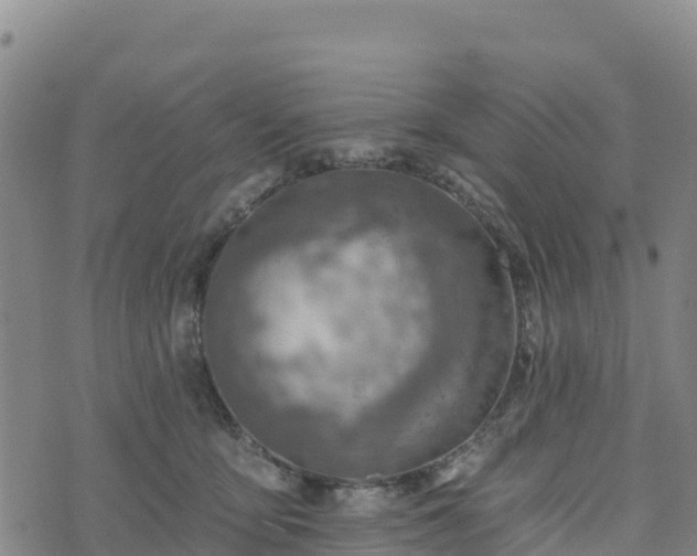 X0000074340419200609011633