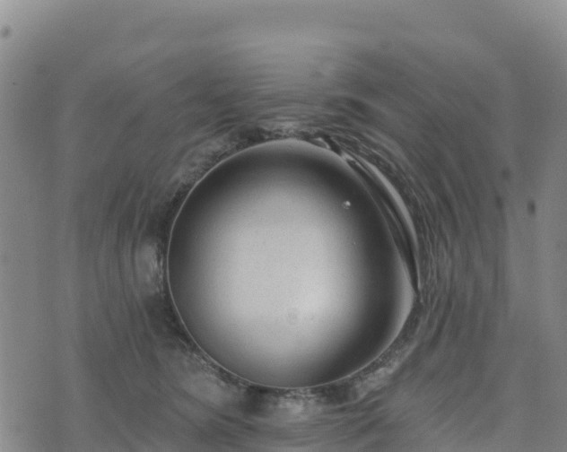 X0000074340420200609011633