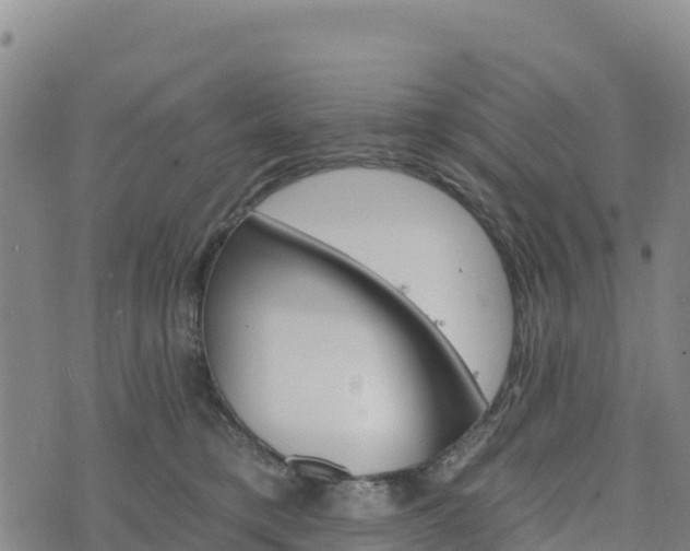 X0000074340421200609011633