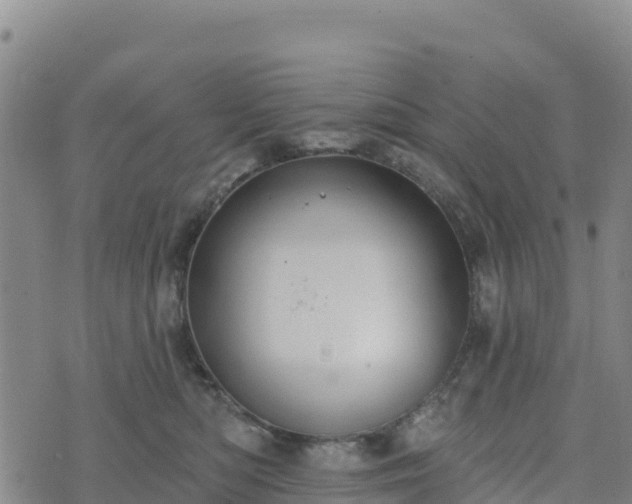 X0000074340422200609011633