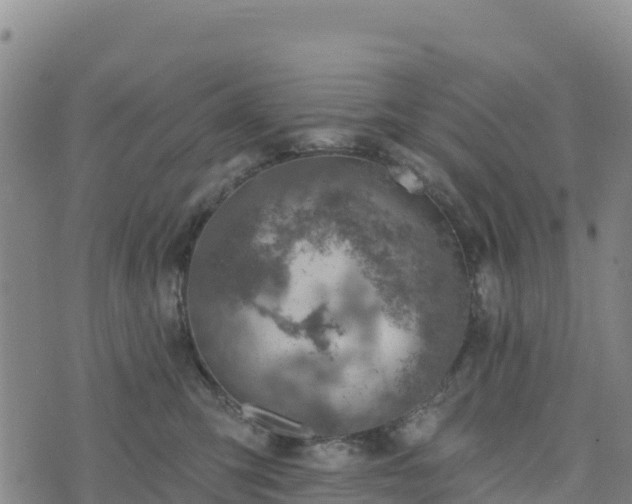 X0000074340423200609011633