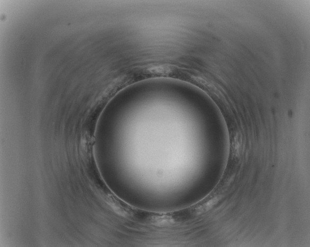 X0000074340424200609011633