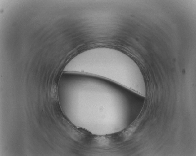 X0000074340425200609011633