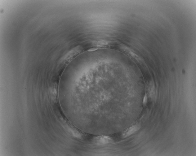 X0000074340427200609011633