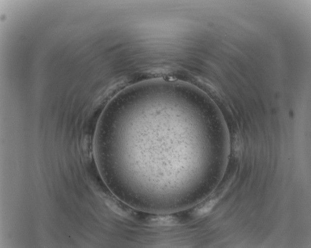 X0000074340428200609011633