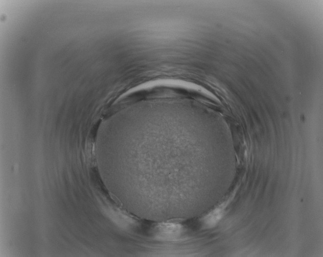 X0000074340429200609011633