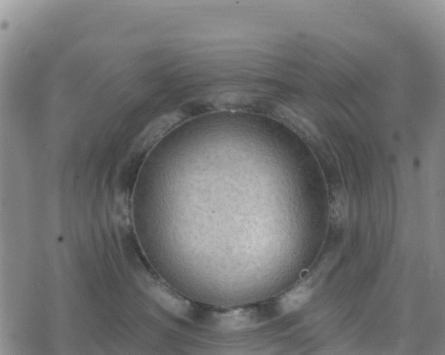 X0000074340430200609011633