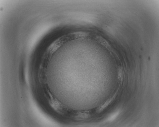 X0000074340431200609011633