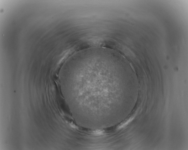 X0000074340432200609011633