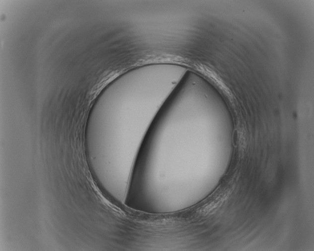 X0000074340433200609011632