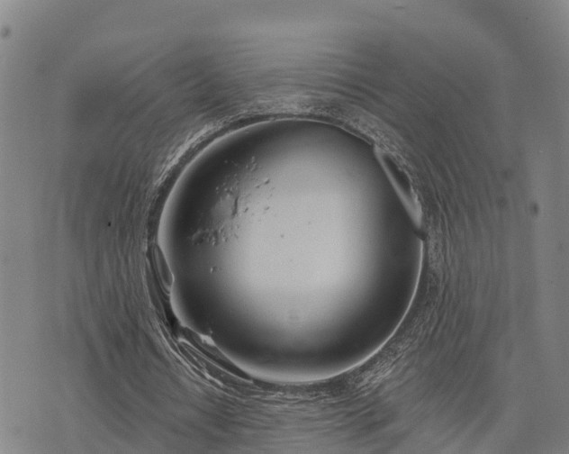 X0000074340434200609011632