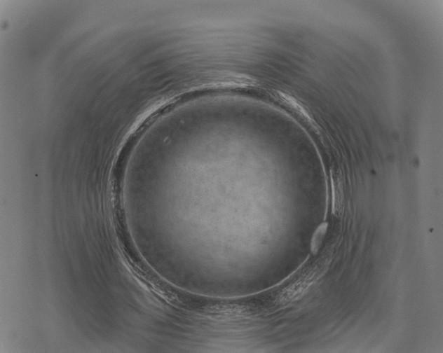 X0000074340435200609011632