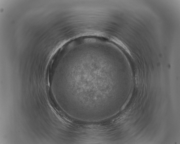 X0000074340436200609011632