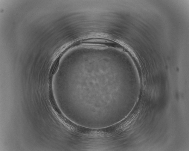 X0000074340437200609011632