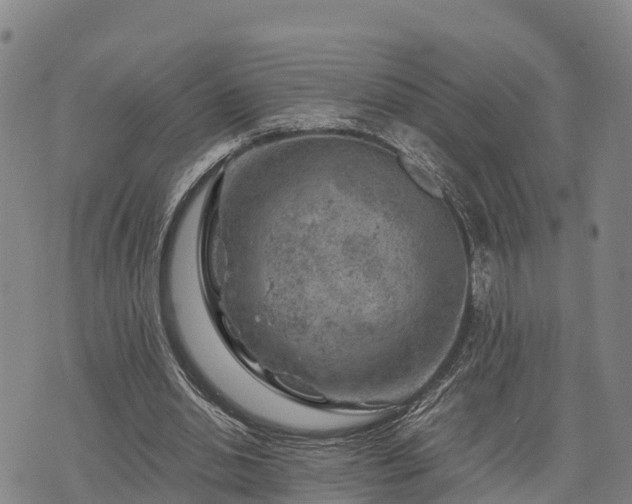 X0000074340438200609011632