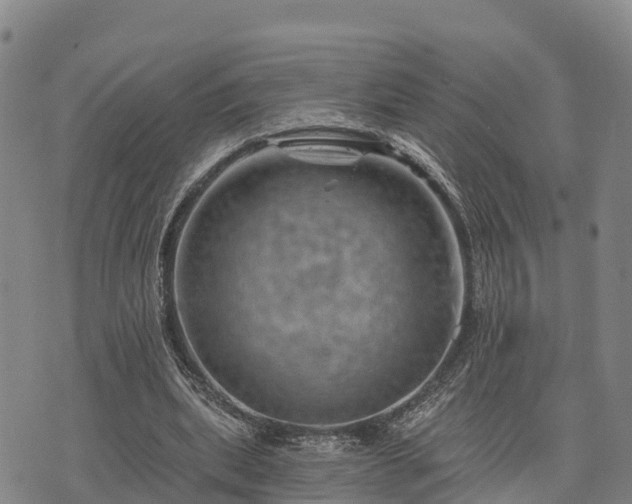 X0000074340439200609011632