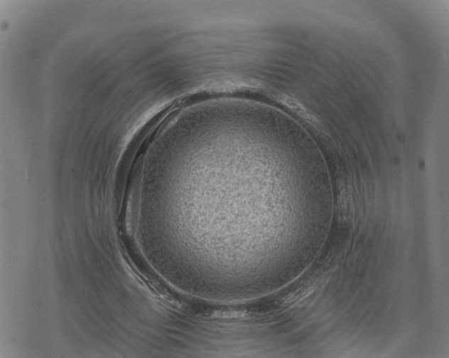 X0000074340440200609011632