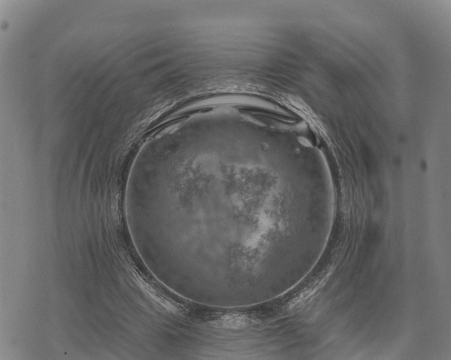 X0000074340441200609011632