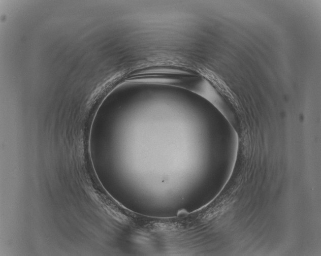 X0000074340442200609011632