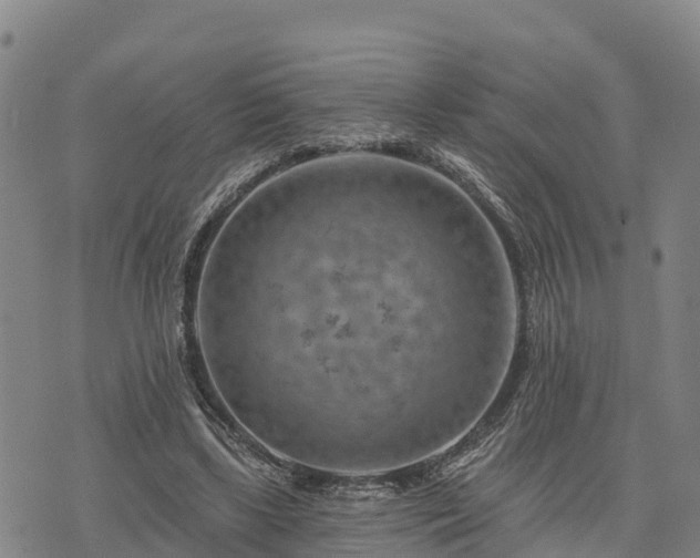 X0000074340443200609011632