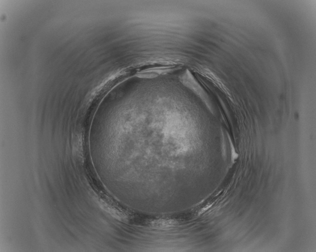 X0000074340444200609011632