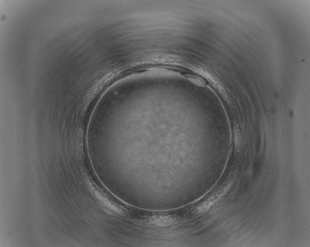 X0000074340445200609011632