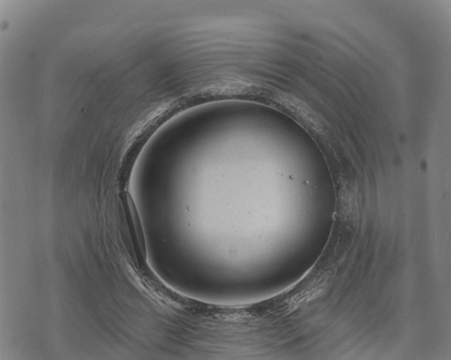 X0000074340446200609011632