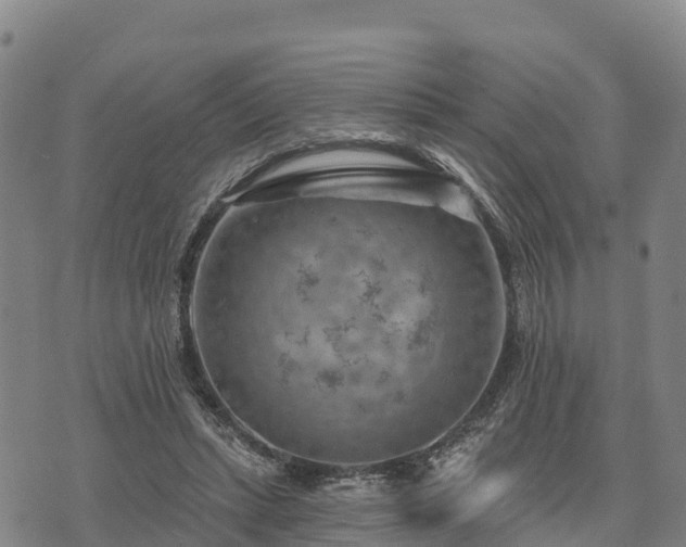 X0000074340447200609011632