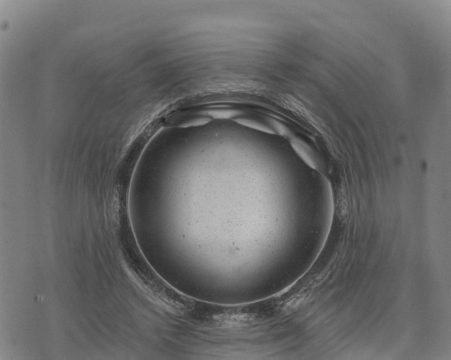 X0000074340448200609011632