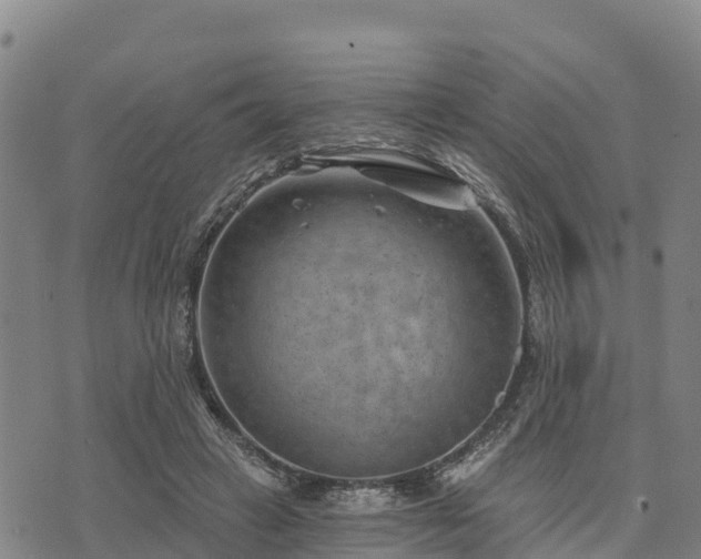 X0000074340449200609011632