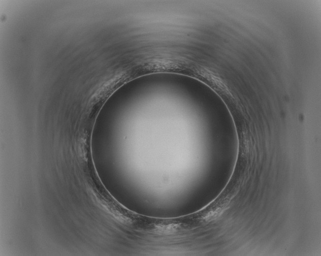 X0000074340450200609011632