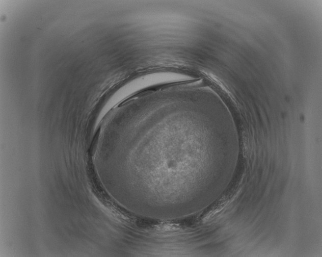 X0000074340451200609011632