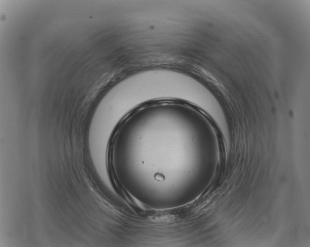 X0000074340452200609011632