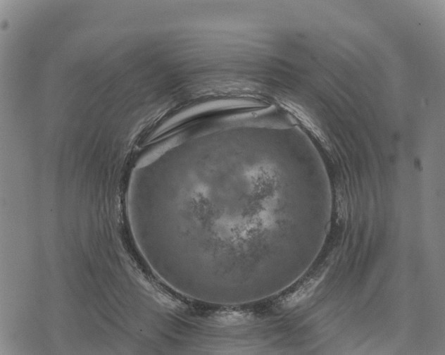 X0000074340453200609011632